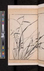 Go to image 111.