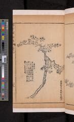 Go to image 137.