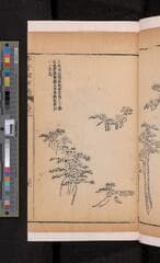 Go to image 143.