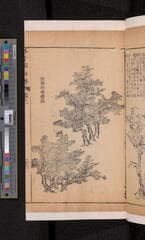 Go to image 125.
