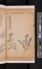 Go to image 160.