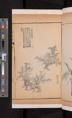 Go to image 157.