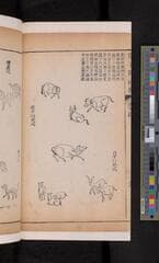 Go to image 324.