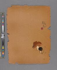 Go to image 161.