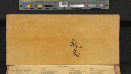 Go to image 58.