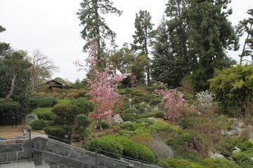 Go to image 3.