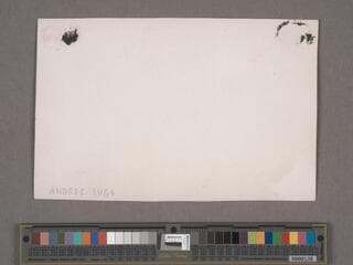 Go to image 222.