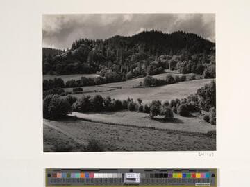 Eel River