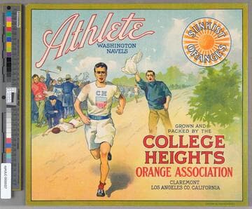 Athlete