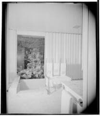 Go to image 11.