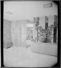 Go to image 12.