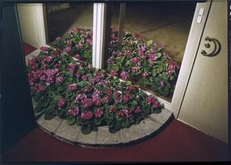 Go to image 32.