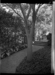 Go to image 3.