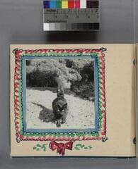 Go to image 6.
