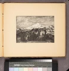 Go to image 43.