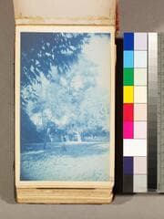 Go to image 63.