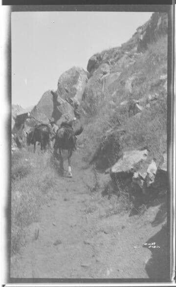 Kern River No. 1