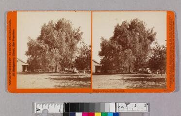 Go to image 1.