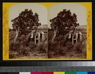 Go to image 1.