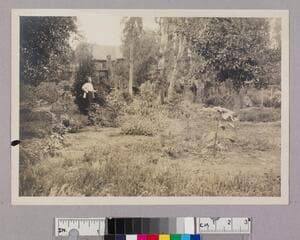 Go to image 1.