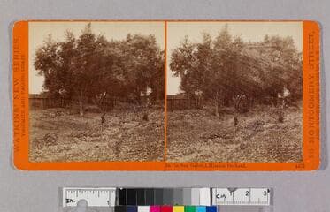 Go to image 1.