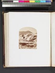Go to image 78.
