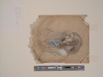 Mrs. E. M. Ward