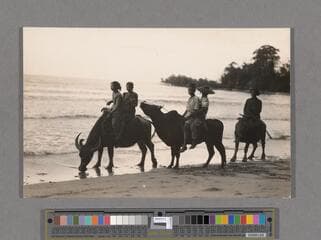 Go to image 133.