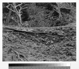 Go to image 1.