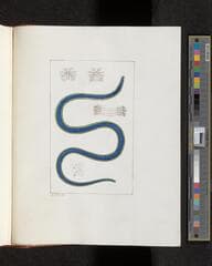 Go to image 377.