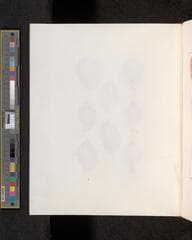 Go to image 216.
