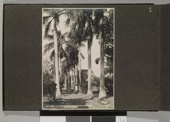 Go to image 4.