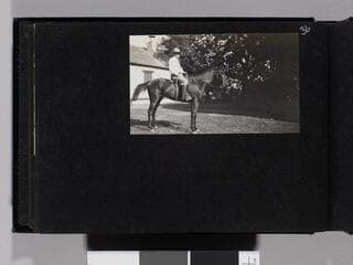 Go to image 38.