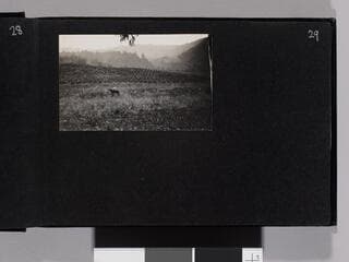 Go to image 31.