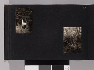 Go to image 68.