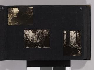 Go to image 71.