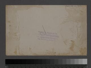 Go to image 2.