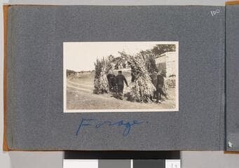 Go to image 102.