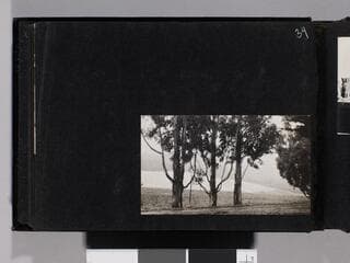 Go to image 36.