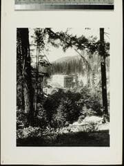 Go to image 53.