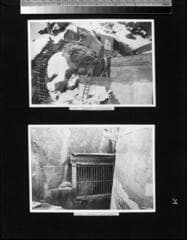 Go to image 40.