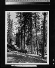 Go to image 49.