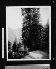 Go to image 29.
