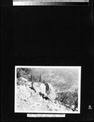 Go to image 51.