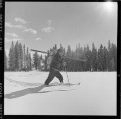 Go to image 11.