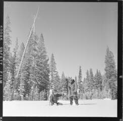 Go to image 19.