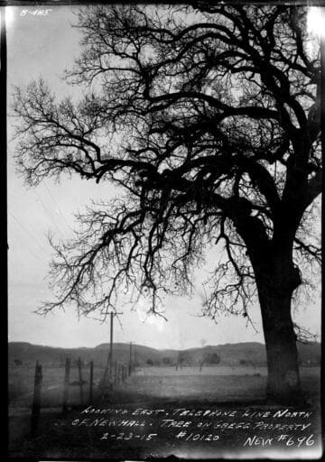 Telephone line