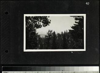 Go to image 51.