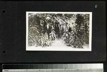 Go to image 7.