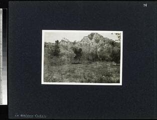 Go to image 75.